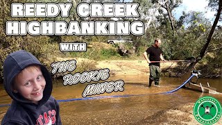 Reedy Creek gold prospecting with The Rookie Miner [upl. by Corsetti]