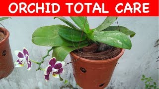 ORCHID  Complete care with english subtitle [upl. by Mercado526]