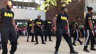 Alpha Phi Alpha Fraternity Inc  Epsilon Xi chapter 55th Anniversary  Yardshow 2017 [upl. by Hanoj]