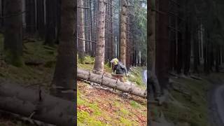 Technique of a logger ￼ [upl. by Anev]