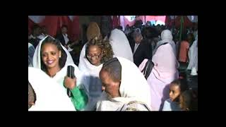 Eritrean ጋይላ ኣበራ Gayla Abera bereket Bariawedding [upl. by Elnar]