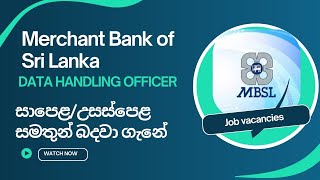 Merchant Bank of Sri Lanka New Job vacancies [upl. by Parry]