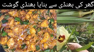 Bhindi chicken Masala new recipe easy Bhindi chicken reciperecipe easyrecipe newrecipes [upl. by Immij]