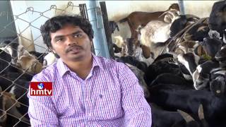 Success Story Of a Sri Kumar Turns as Goat Farmer  Hyderabad  Nela Talli  HMTV [upl. by Delorenzo]