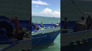 general cargo mv lady alayne alongside to mv lady lyn at port of ligmarine zamboanga city [upl. by Aurelea]