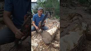 I use an electric chain saw for woodworking logs [upl. by Llyrehc]