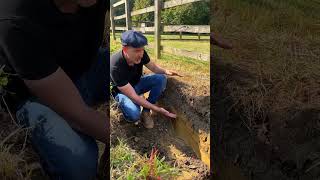 Dealing with a heavy clay soil profile [upl. by Dielle]