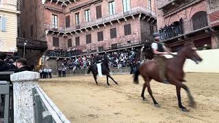 The Palio horse race First day of practice trials 26th June 2024 Piazza del Campo Siena [upl. by Minardi]