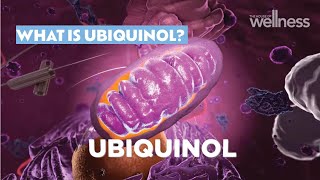 What is ubiquinol [upl. by Erv]