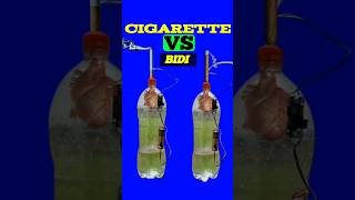 cigarette vs lungscigarette vs vape lungsvaping lungs vs cigarettes lungs [upl. by Jilly964]