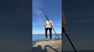 Fishing Ashtabula Break Wall for Monster Steelhead fishing lakeerien fish steelheadfishing [upl. by Vevina]