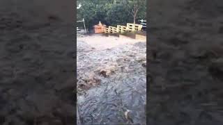 Old Courtallam flood  பழைய குற்றாலத்தில் இன்று 16112024 வெள்ளப்பெருக்கு  குளிக்கத்தடை [upl. by Docia]