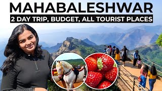 Mahabaleshwar Tourist Places  Mahabaleshwar Strawberry Farm  Mahabaleshwar Budget Trip [upl. by Iretak]