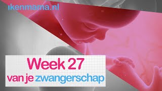 27 weken zwanger  ikenmamanl [upl. by Rieger438]