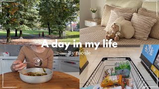 Vlog 🧸 vado a fare la spesa da Aldi  un giorno con me  gnocchi di riso  ordine cibo asiatico 📦 [upl. by Adlai]