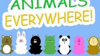 Animals Everywhere A Fun Song for Kids [upl. by Earahc]