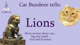 Short stories about cats big and small real and fictional  Lions  Cat Bundeee tells [upl. by Aley197]