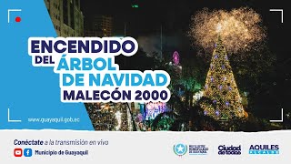 Encendido del Árbol de Navidad  Malecón 2000 [upl. by Ynned]