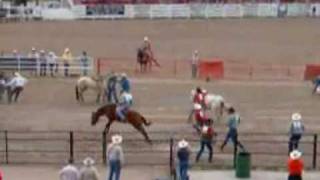 Cheyenne rodeo Wild horse race [upl. by Rehtae753]