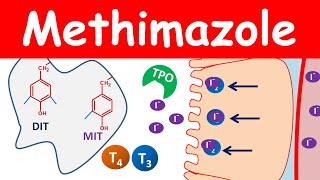 Methimazole 5 mg tablets for thyroid [upl. by Alamak]