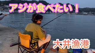 【大井漁港】アジが食べたい！😊 [upl. by Femi]