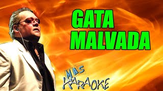 GATA MALVADA 💚 Leo Mattioli  KARAOKE maskaraoke cumbia [upl. by Adnalay58]