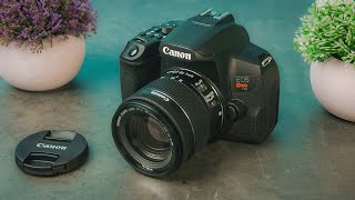 Best Beginner Cameras in 2024 [upl. by Wennerholn]