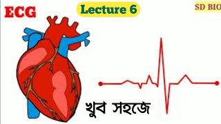 How to read ECG in bengali। Human Physiology class 11। Electrocardiogram and Electrocardiograph । [upl. by Klute98]