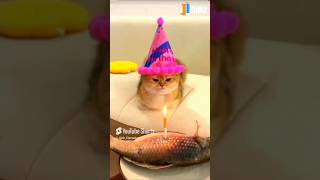 Animal Fundub Part 153 🤣🤣  Malayalam Fundub  ©Ji Talkz  Jijith Elamadu malayalamfundub shorts [upl. by Hildegaard33]