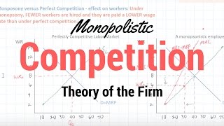 Monopolistic Competition [upl. by Fausta]