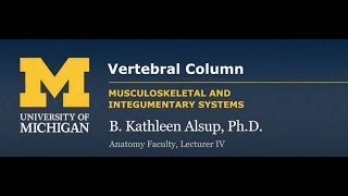 Skeletal System Vertebral Column [upl. by Preston238]