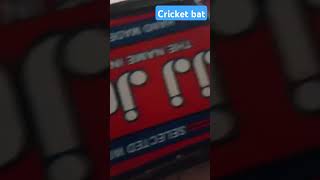 Cricket batlifewithharrysubscribe [upl. by Attenej64]