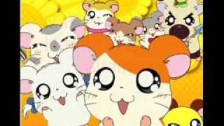 Hamtaro german opening 2 lyrics [upl. by Riancho]