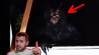 He was visited by The Devil  5 Scary Videos [upl. by Nerta]