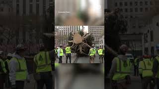 Rockefeller Center Christmas Tree arrives in New York City [upl. by Akinwahs]