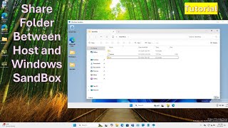 How to Share Folder Between Host and Windows Sandbox [upl. by Elsilrac]