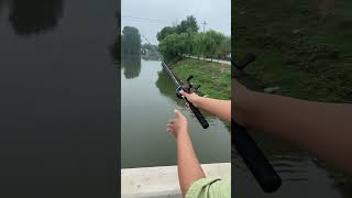 Another type of fishing rod for fish hunting youtubeshorts viralvideo short [upl. by Mitchael]