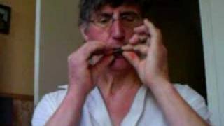 harmonica  Tarentelle par Jackie sur le plus petit instrument du monde [upl. by Oirobil]