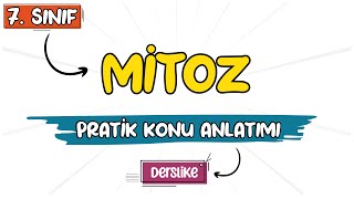 Mitoz ve Mayoz Bölünme 🦠 tonguçCUP 1Sezon  7FEN3 2024 [upl. by Mansur]