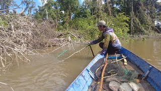 MENGANGKAT JEBAKAN IKAN BESAR [upl. by Ash189]