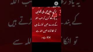 BEST ISLAMIC QUOTES IN URDU ❤️‍🩹 shortsfeed trending viralshorts shorts shorts [upl. by Ellehcrad]