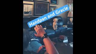 Relaxing Handpan Music with my dog Gracie asteman handpanmeditation handpan relaxingmusic chill [upl. by Cati]