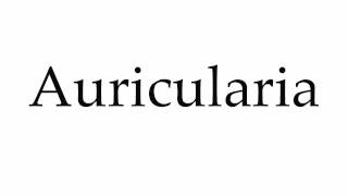 How to Pronounce Auricularia [upl. by Elehcir782]