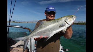 Praktični ribolov  Panula na lice i strijelke živom iglicom trolling for leerfish and bluefish [upl. by Nitsyrk633]