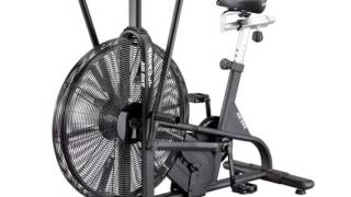 Airdyne vs Air Assault Bike Comparison [upl. by Dix644]