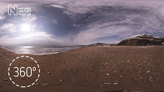 360° fossilhunting adventure  Natural History Museum [upl. by Maxma]