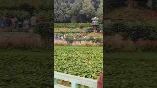 Ooty tour special moments 🥰🥰🥰 ootytrendingjdwspecial momentsweekendvibesjoelsdreamworld1602 [upl. by Inobe]