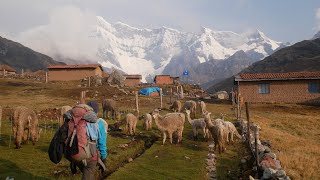 Peru Cordillera Vilcanota Ausangate Trek mit quotKorridorquot Individual Trekking Solo Hike [upl. by Ednew]