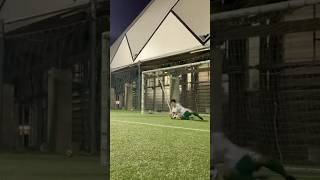 Shot Stopping Mid Distance or 1v1 goalkeepertraining [upl. by Lad343]