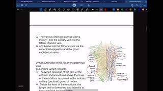 Anatomy  part 1 for anterior abdominal wall [upl. by Musihc]